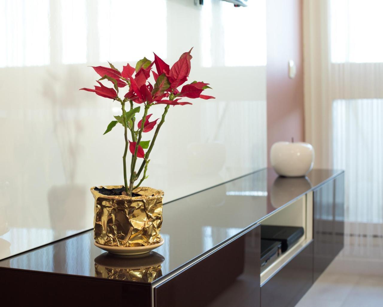 Apartment Amalfi Split Bagian luar foto
